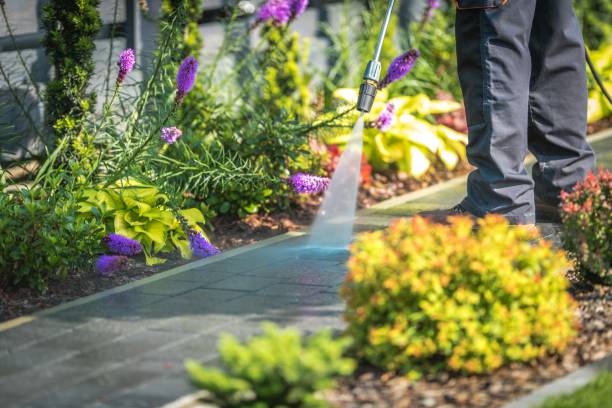  Wildwood, NJ Pressure Washing Pros